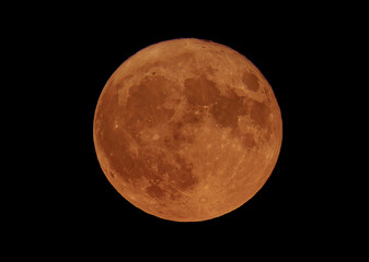 Sturgeon Full Moon glowing orange rising just above the horizon over Ottawa, Ontario, Canada, Aug 1, 2023