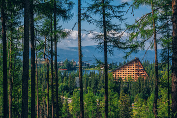 Summer landscape with mountain village, forest, beautiful mountains, lake and blue sky on background. 