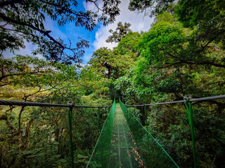 Suspension bridge in the rainforest in Costa Rica
