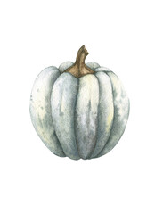 Green pumkin. Watercolor illustration on white background. For print, greeting cards, wrapping paper, stickers, decor, packaging, textile, menu