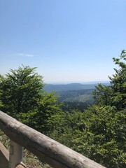 view of  trees in the mountains