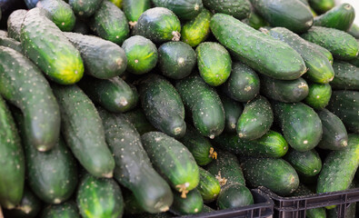 Cucumbers on market counter in wicker basket