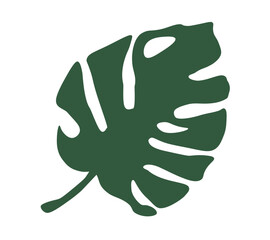 Monstera vector design symbol simple in illustrator
