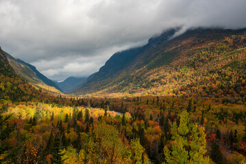 Malbais river national park in Quebec during fall