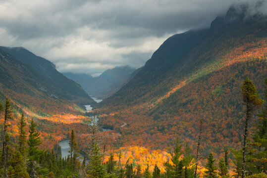 Fall foliage in Malbais river national park