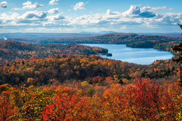 Fall foliage in Mount Orford national park