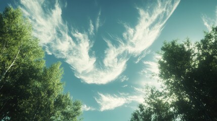 Serene Forest Clearing: Tranquil View of Clouds Drifting in the Sky