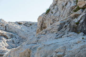 和歌山県の白崎海洋公園の風景