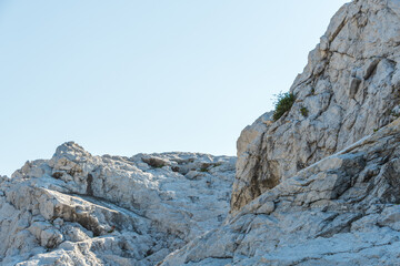 和歌山県の白崎海洋公園の風景