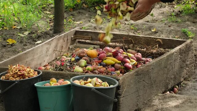 Food Waste. Compostable food scraps. Domestic organic waste for compost from fruits and vegetables. Recyclable materials. Separate waste collection. Compost bin with organic waste