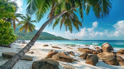 beach with palm trees and sky