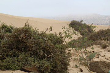 Stunning views of the Timlaline area, including the sea, sand hills and rocks