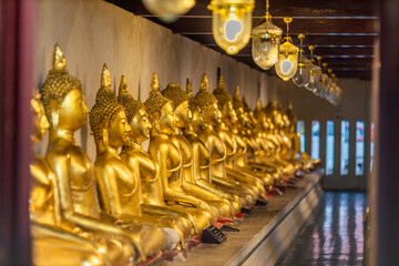 Wallpaper from the top of the mountain, overlooking the panorama, with the wind blowing all the time, fresh air, is a viewpoint that adventurers regularly visit.