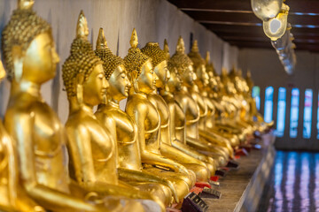 Wallpaper from the top of the mountain, overlooking the panorama, with the wind blowing all the time, fresh air, is a viewpoint that adventurers regularly visit.