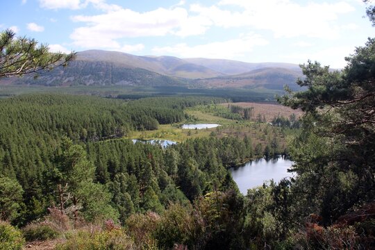 Uath Lochans, Cairngorms National Park, Inverness-shire, viewed from Creag Far-leitire.