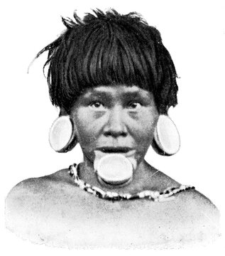 American peoples. Portrait of Aimore woman. The Aimore (Botocudo ) are one of several South American peoples of eastern Brazil. Publication of the "Meyers encyclopedia", Vol. 7, Leipzig, Germany, 1910