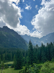 Fototapeta premium Beautiful mountain landscape with forest. vertical