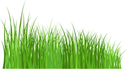 Grass silhouette seamless pattern. Green grass meadow border vector pattern. Autumn summer plant field lawn.