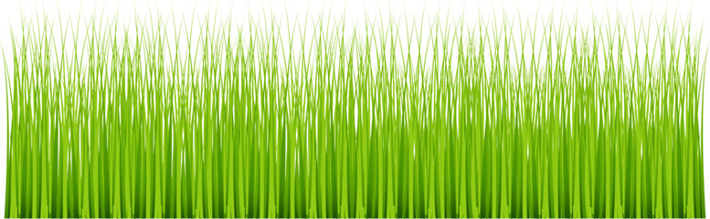 Grass silhouette seamless pattern. Green grass meadow border vector pattern. Autumn summer plant field lawn.