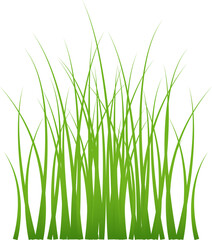 Obraz premium Grass silhouette seamless pattern. Green grass meadow border vector pattern. Autumn summer plant field lawn.