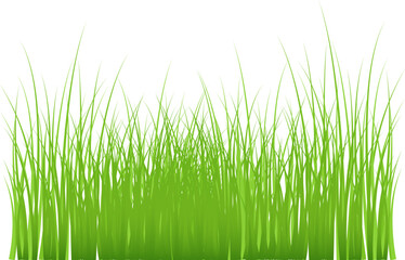 Grass silhouette seamless pattern. Green grass meadow border vector pattern. Autumn summer plant field lawn.