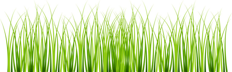 Grass silhouette seamless pattern. Green grass meadow border vector pattern. Autumn summer plant field lawn.