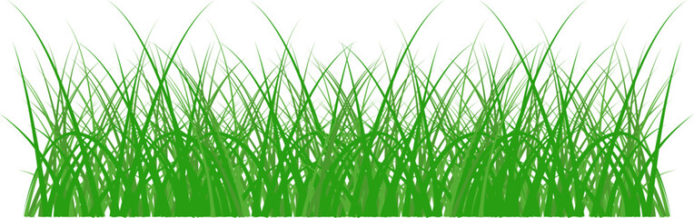 Grass silhouette seamless pattern. Green grass meadow border vector pattern. Autumn summer plant field lawn.