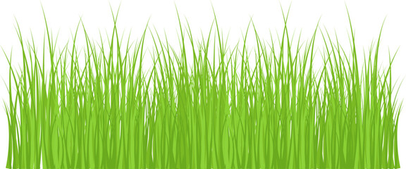 Grass silhouette seamless pattern. Green grass meadow border vector pattern. Autumn summer plant field lawn.