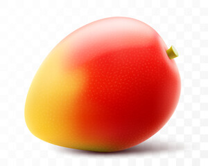 Fresh mango tropical fruit. Exotic mango fruit isolated on transparent background. Summer tropical vitamin food. Realistic 3d vector illustration