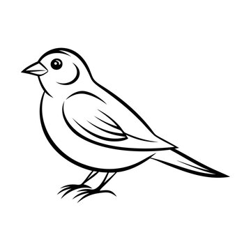 recommend clip art: Black silhouette sparrow bird vector illustration isolated on white outline style