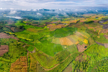 Terraced rice fields