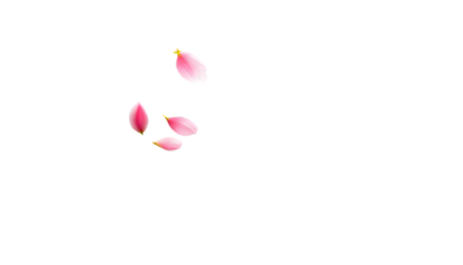 cherry blossom petals falling like a gentle shower, creating a soft and dreamy atmosphere. Generative AI.