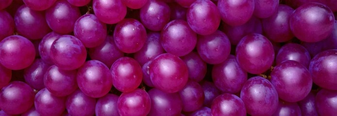 Fototapeta premium bunch grapes with lot red