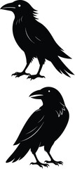 Creative crow vector art illustration 