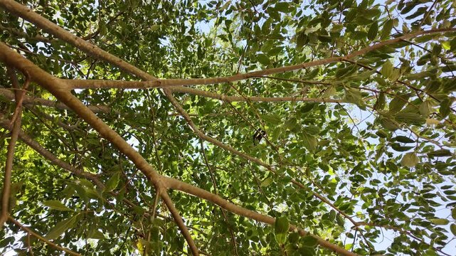 Texturas y naturaleza. Madera, frescura y fondos