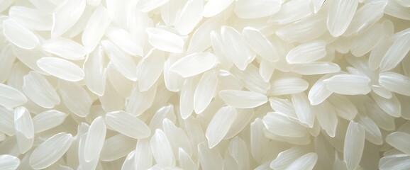 Close up macro photo of raw uncooked white rice.
