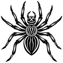 Spider silhouette isolated on white background