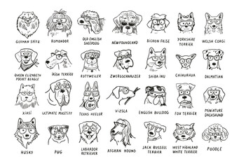 Set of dogs with glasses. Vector illustration on a white background.