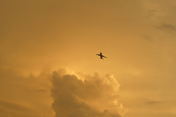 a distant airplane flying in the biased yellow sky of the setting sun 