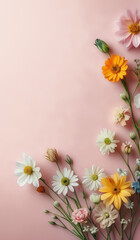 Obraz premium Spring flowers on a pastel colored paper texture background with copy space