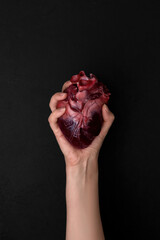 Woman holding fresh raw red heart on black background