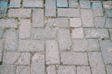 Paving blocks laid out for a parking lot, creating a durable and organized surface.