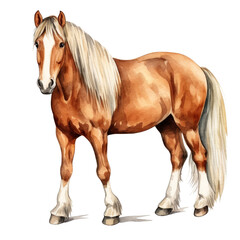 Obraz premium Beautiful Belgian Draft Horse with Long Mane in Watercolor Style