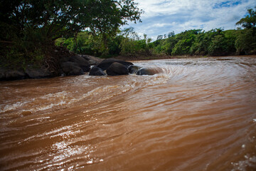 Fototapeta premium The Paraíba do Sul River, which supplies the metropolis of Rio de Janeiro, is threatened by water pollution, but is still home to the beauty of the Atlantic Forest. Vassouras, Brazil