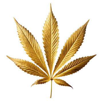 Golden Cannabis Leaf Isolated on White Transparent Background, PNG Element.
