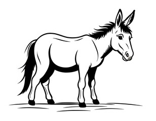 Fototapeta premium Drawing of a cute donkey to color.