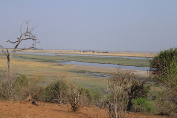 River through the dessert