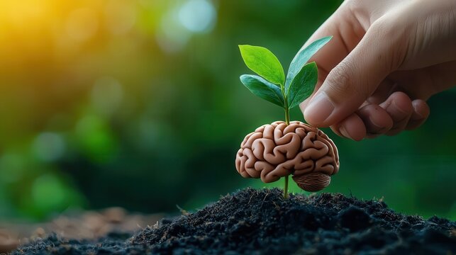 A hand planting seeds in the shape of a brain, representing nurturing mental health and recovery mental illness, rehabilitation