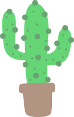 Cactus Illustration 