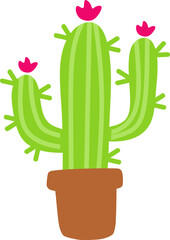 Cactus Illustration 